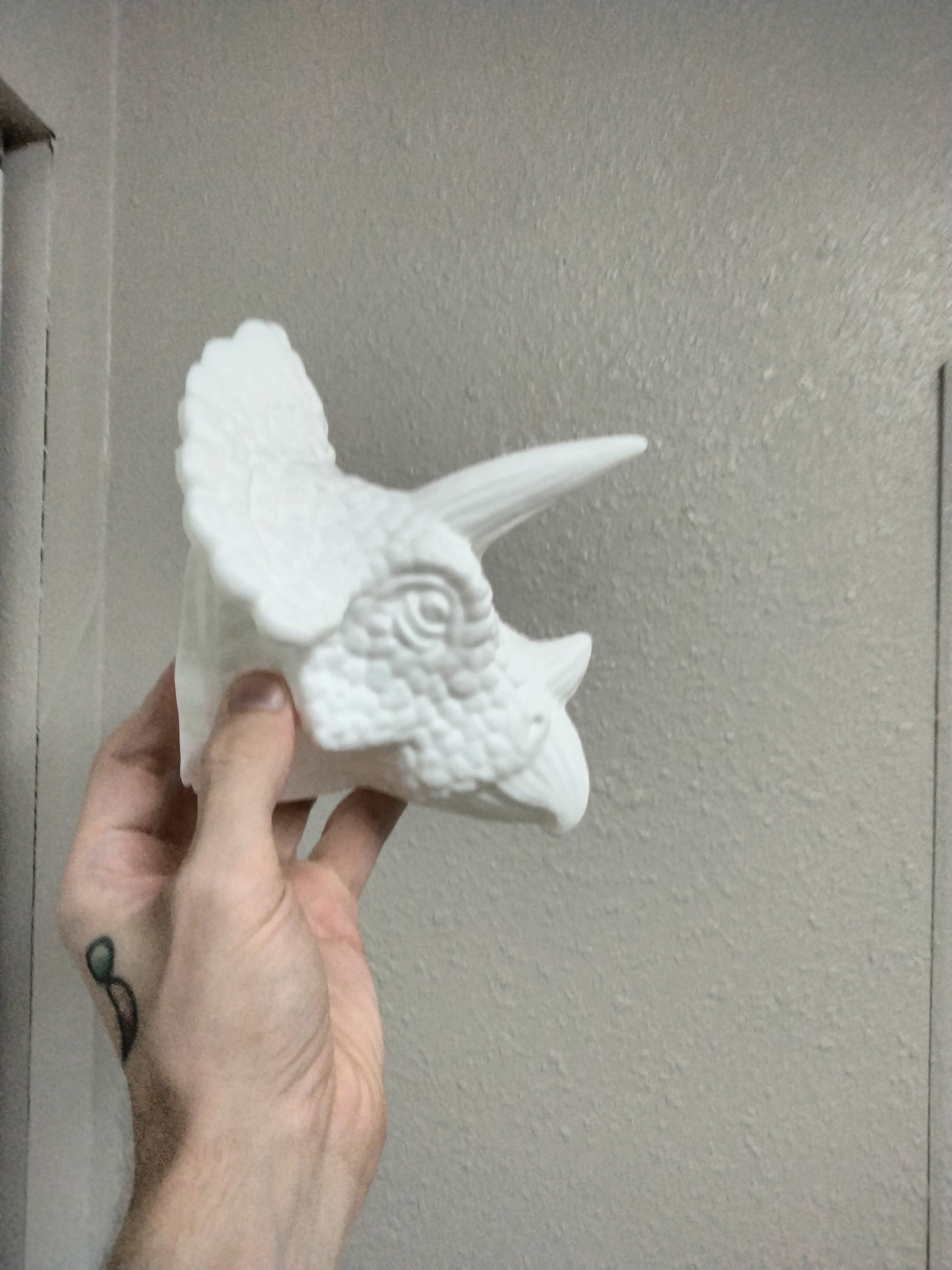 Triceratops Head For Wall