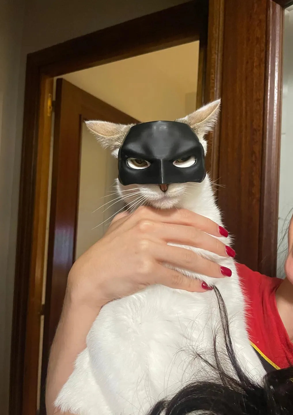 Cat/Dog Batman Mask