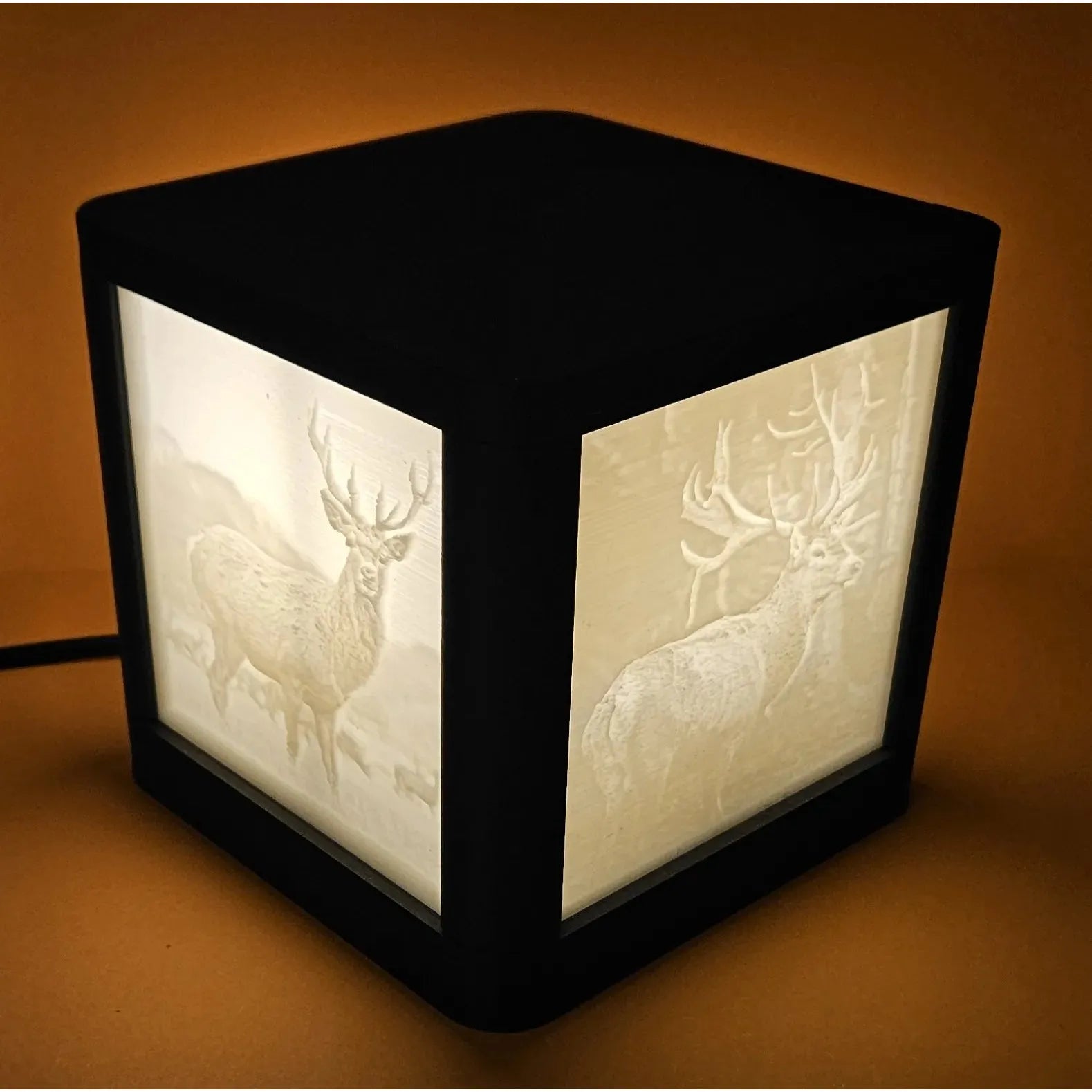 Lithopane Photo box