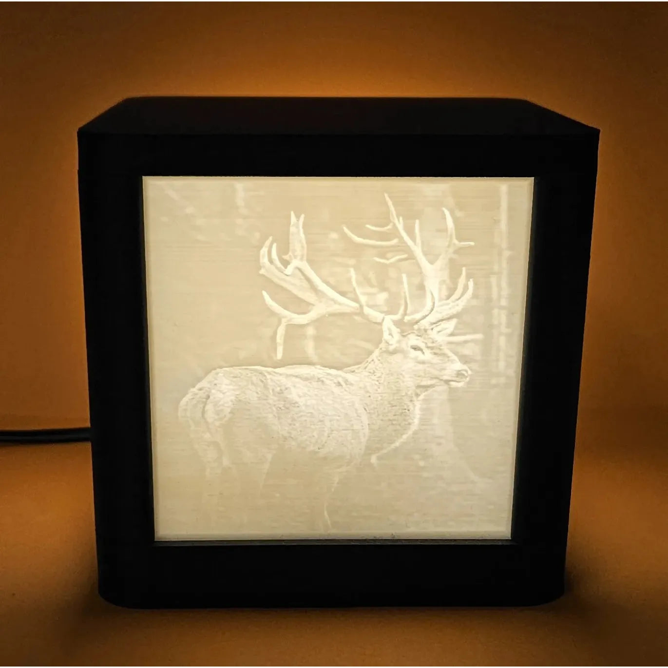 Lithopane Photo box