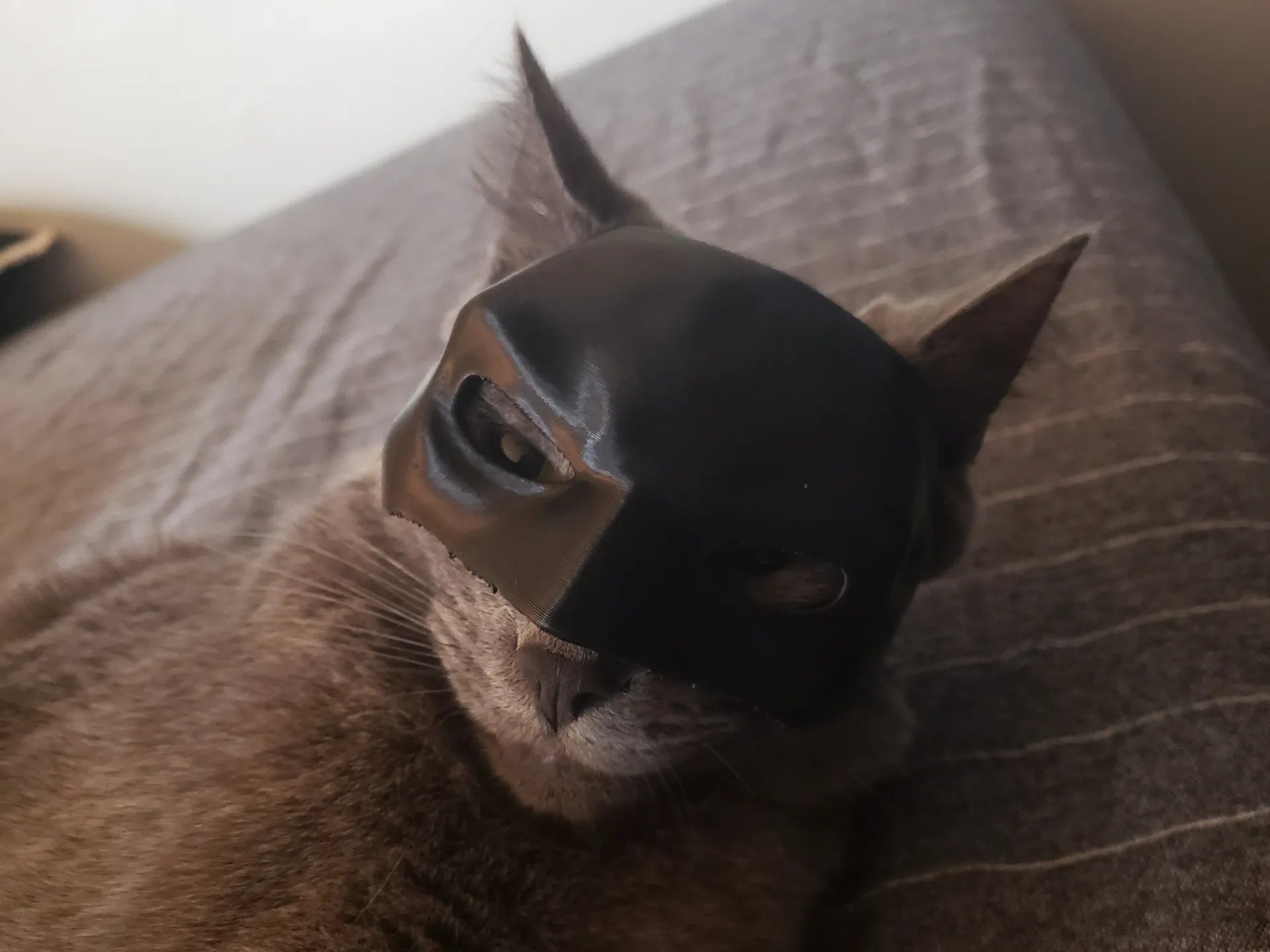 Cat/Dog Batman Mask