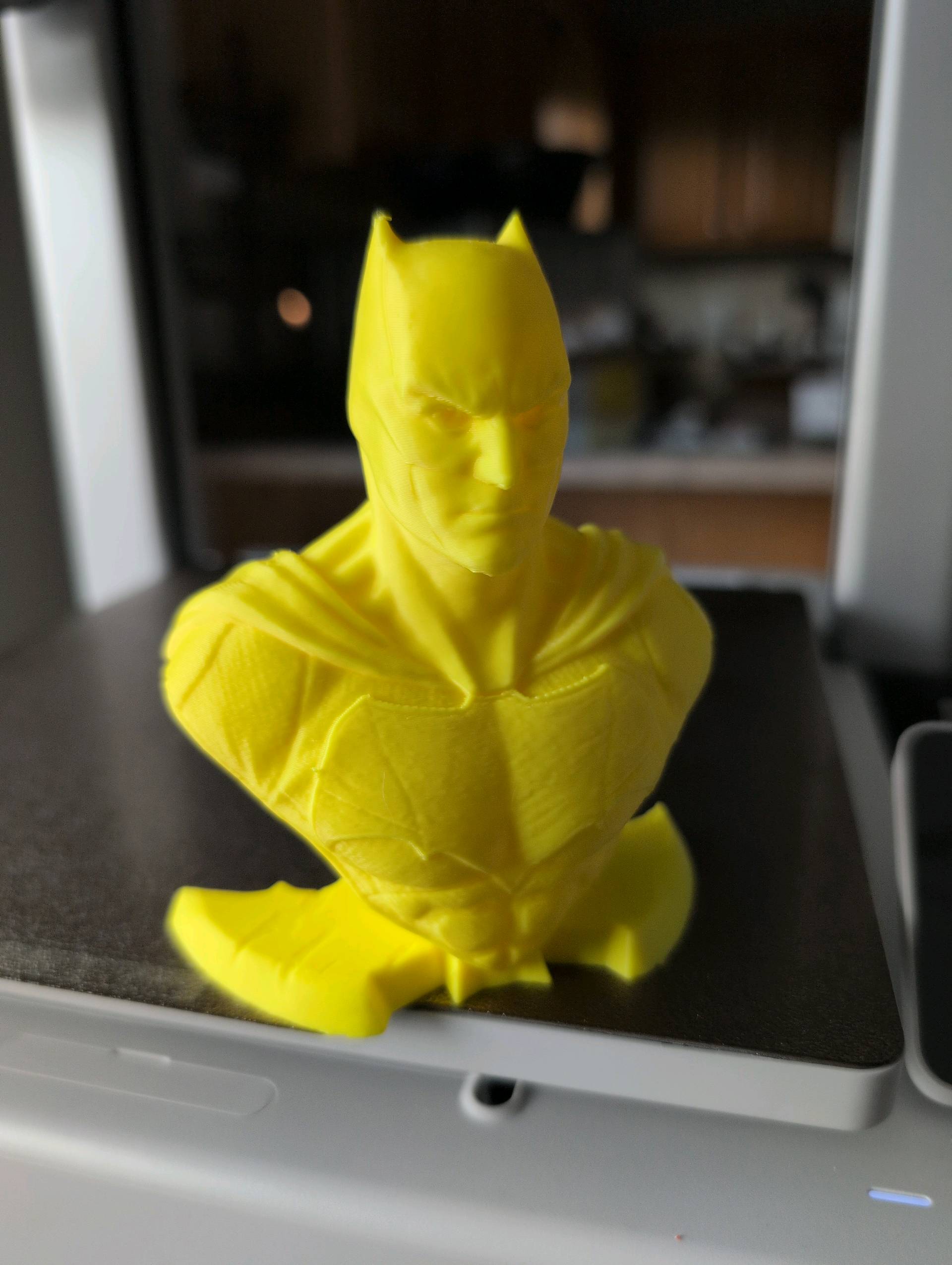 Batman Bust Poly