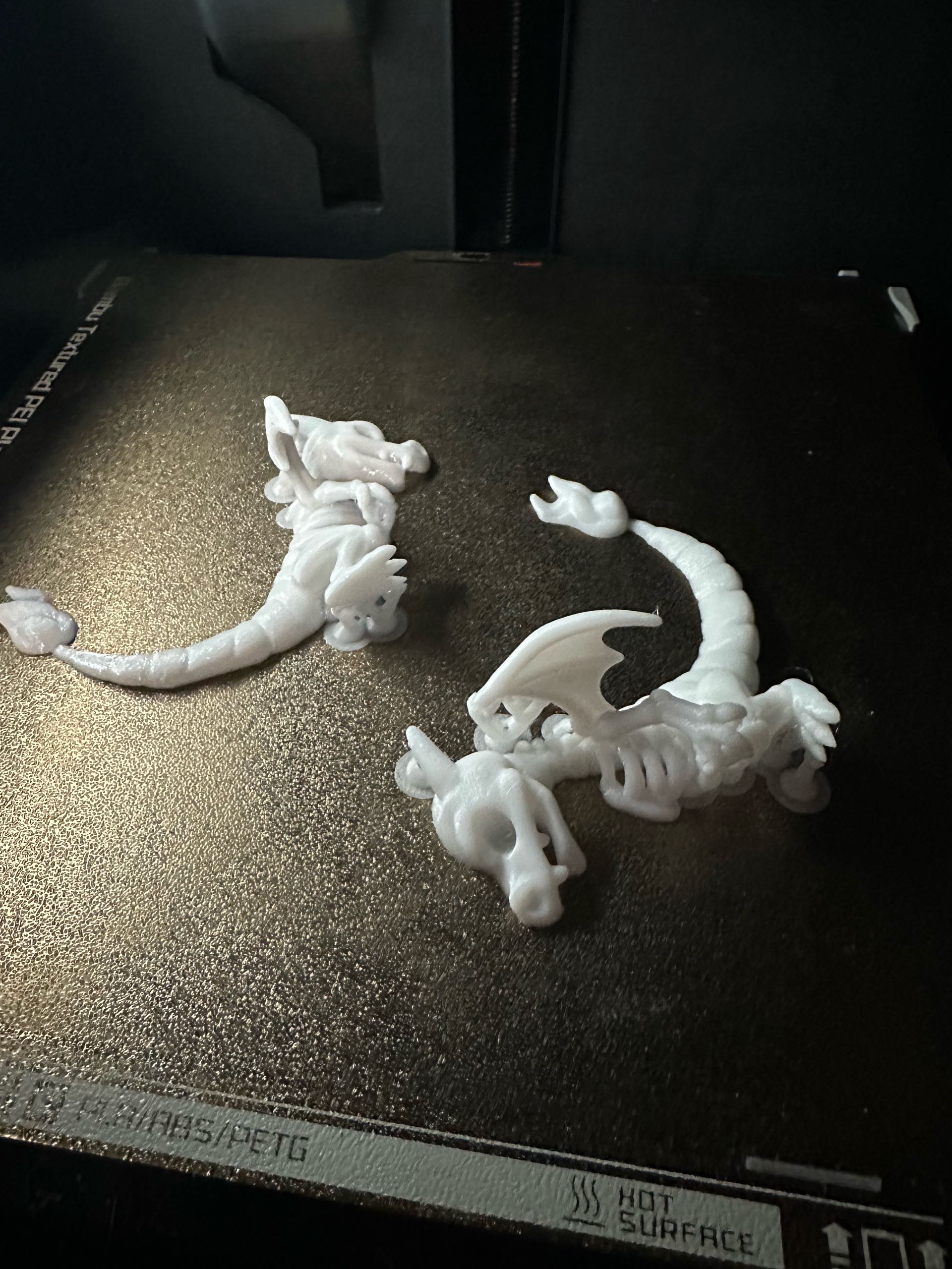 Charizard pokemon Skeleton Figure Dragon Fossil