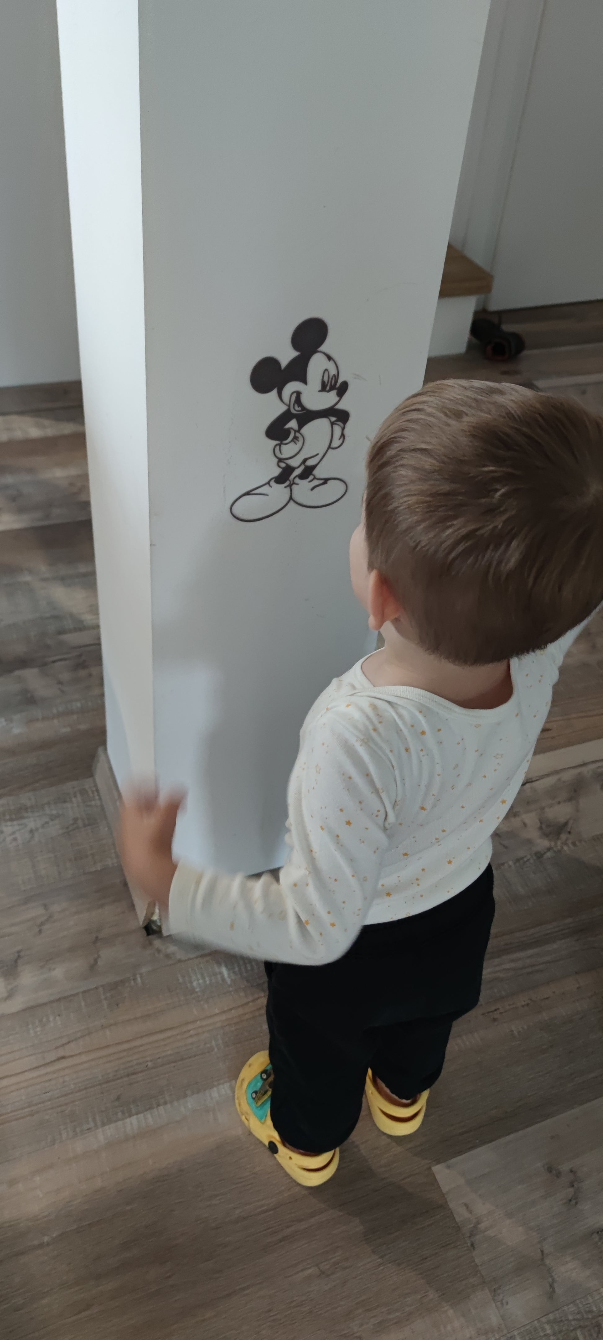 Mickey Mouse - wall art / decoration