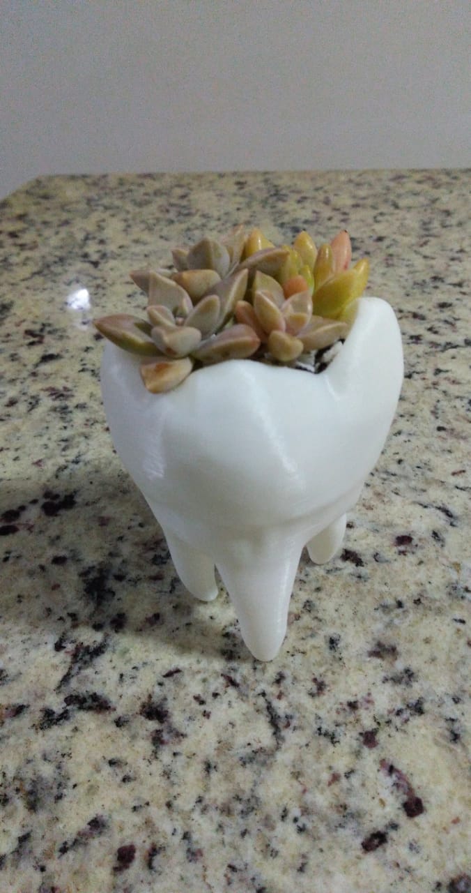 Thooth Vase