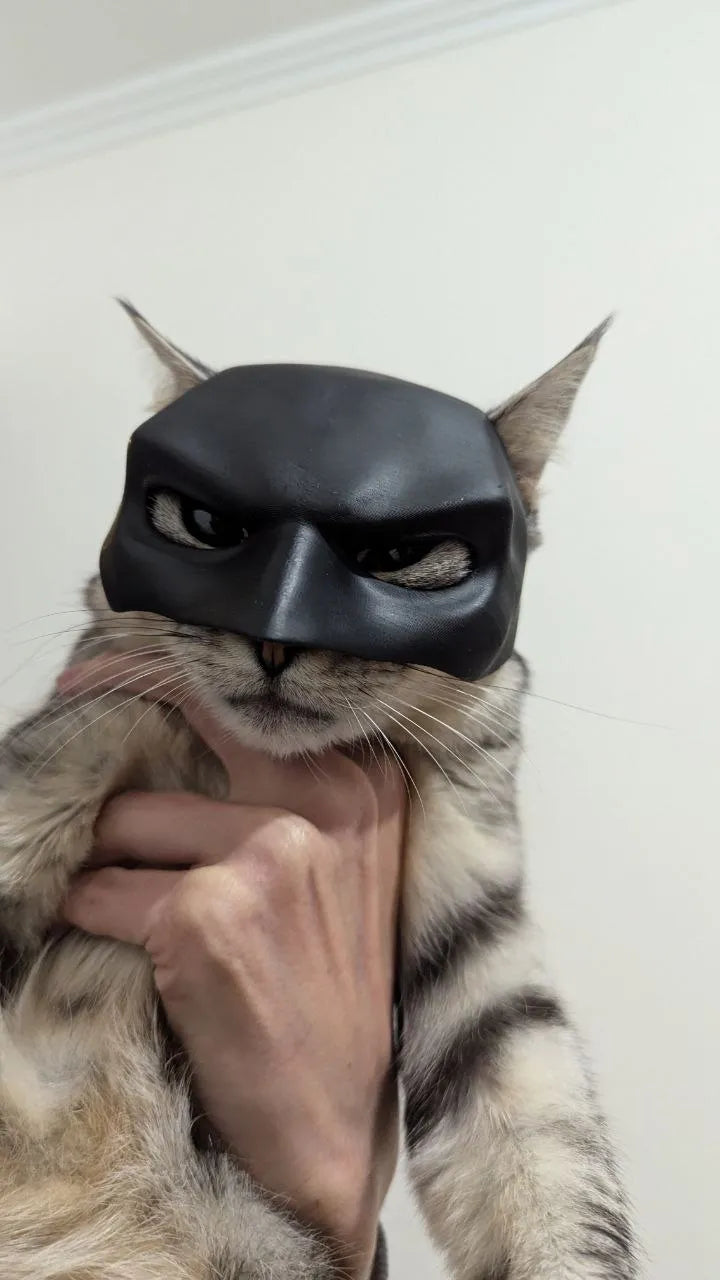 Cat/Dog Batman Mask