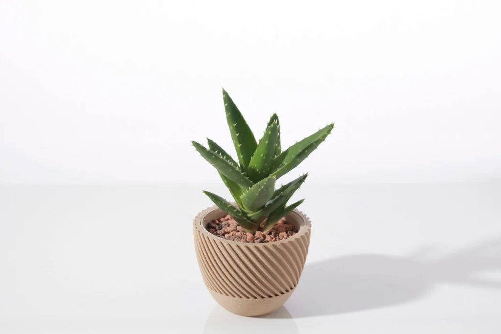 Modern geometric Succulent plant pot