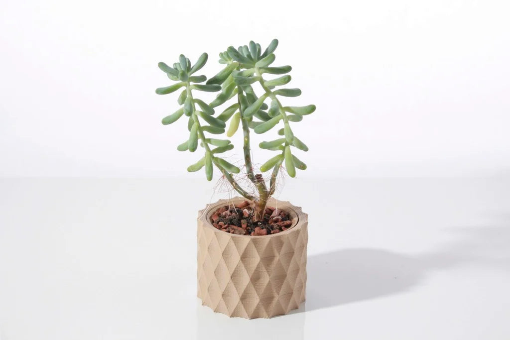 Modern geometric Succulent plant pot