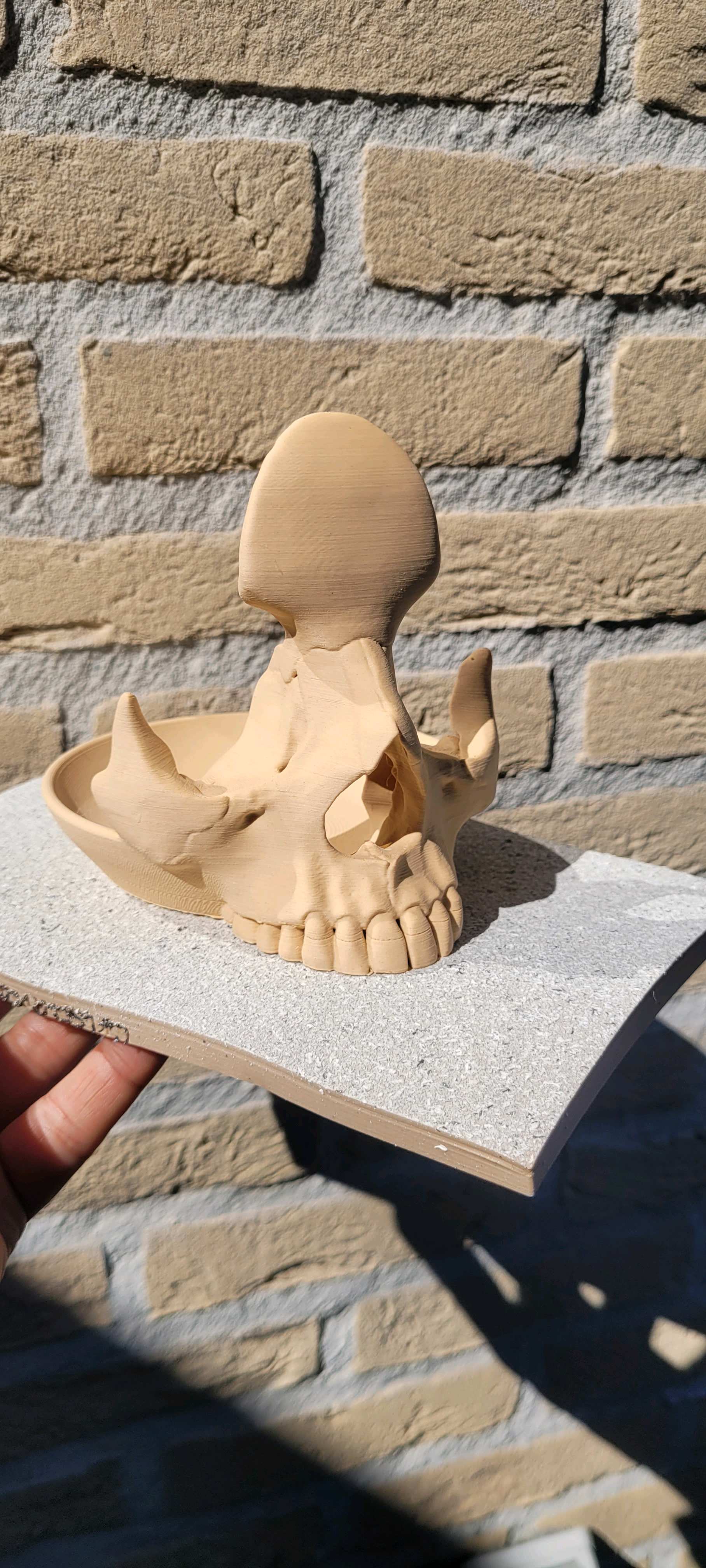 Glasses Holder Skull Bowl