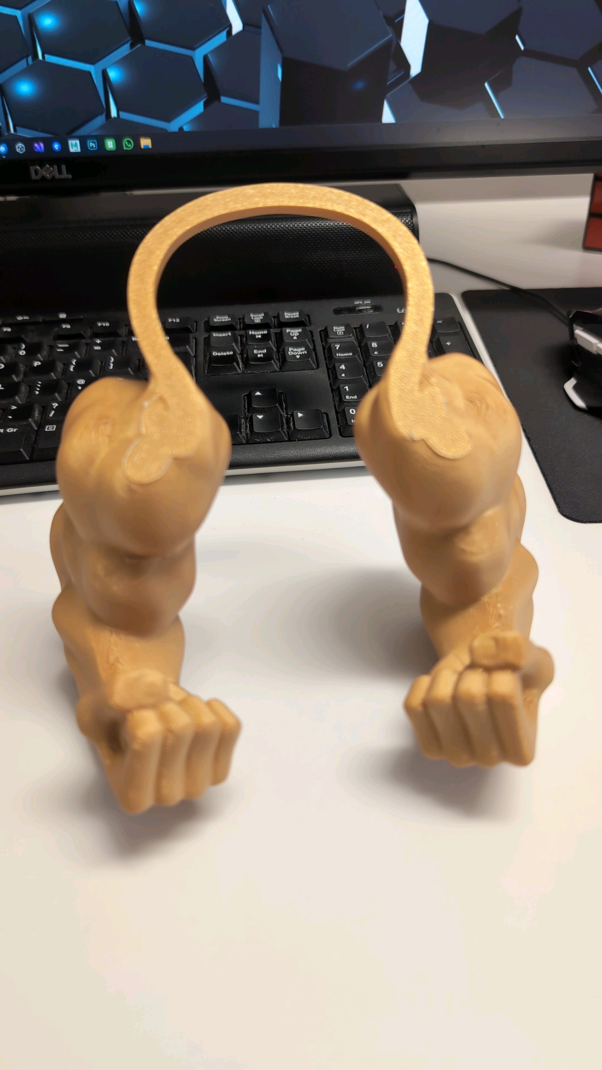 Hulk arms for cats