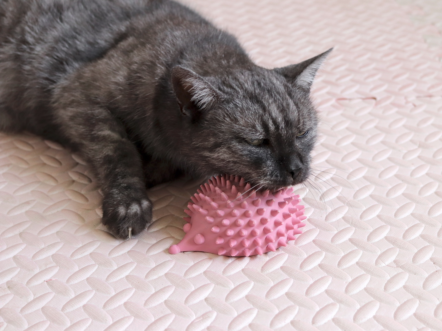 Cute Hedgehog Cat Self Scratcher Groomer