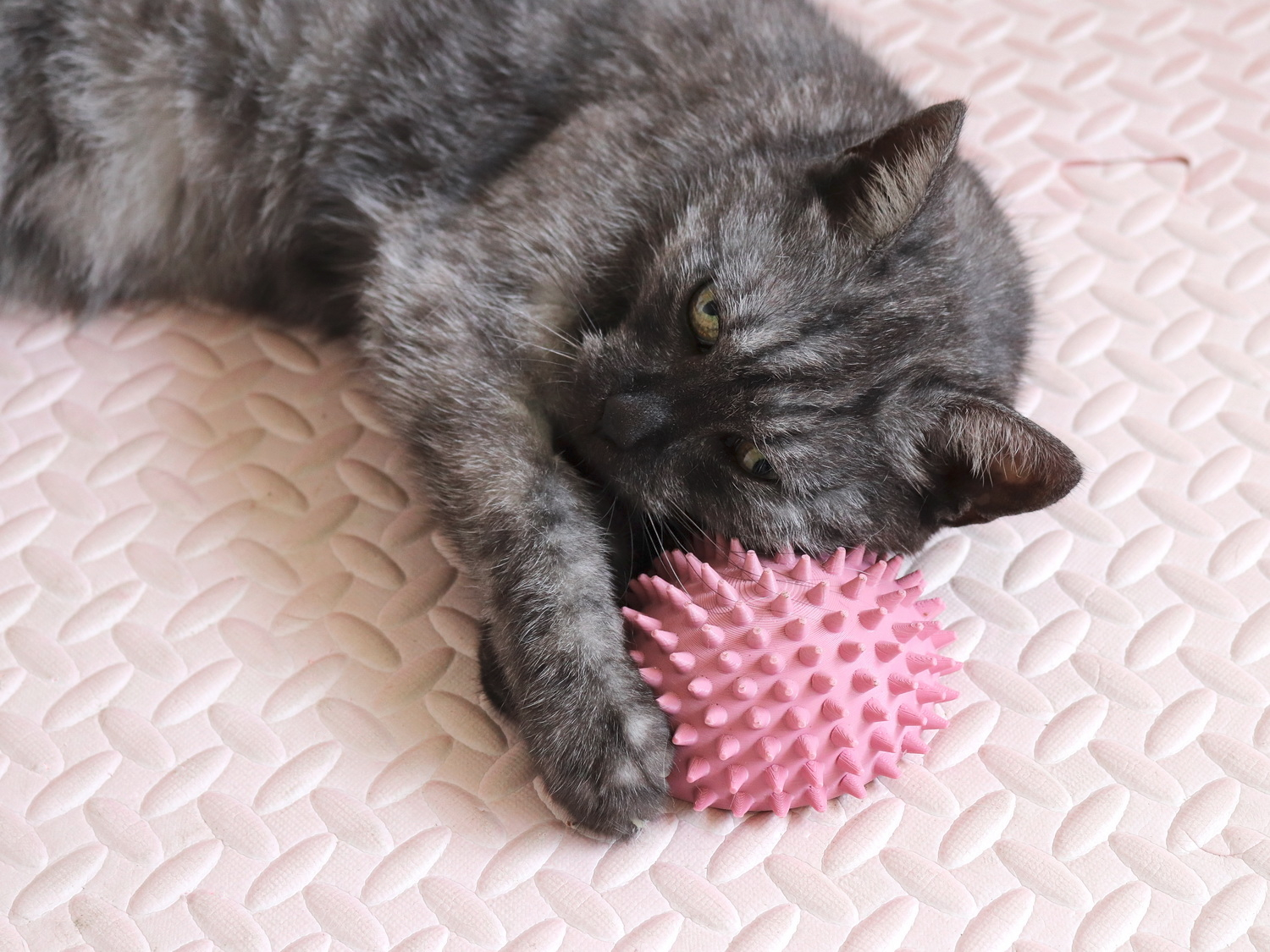 Cute Hedgehog Cat Self Scratcher Groomer