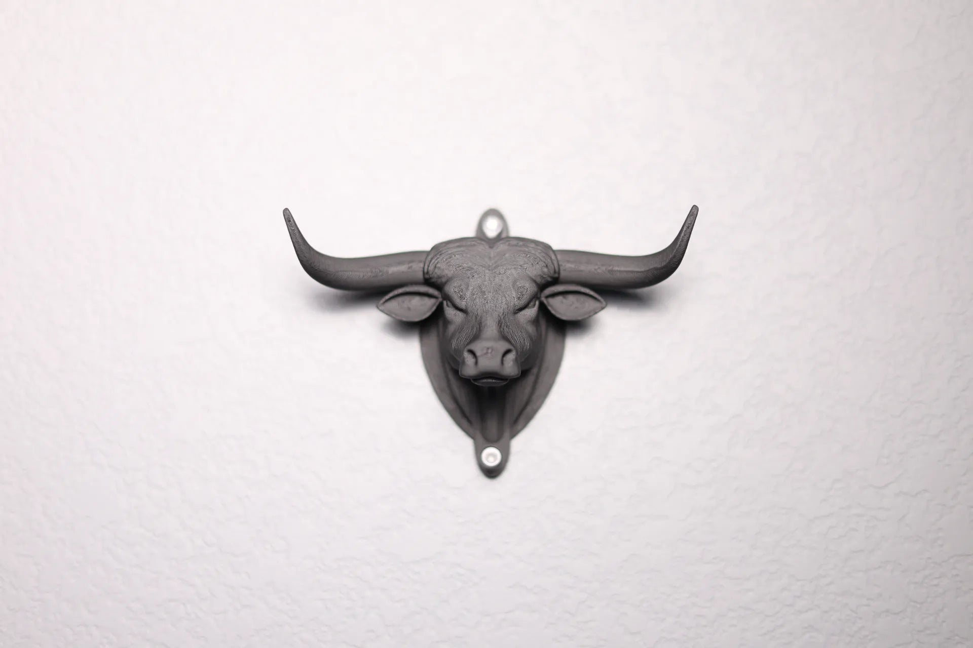 LongHorn(Wall Hook)