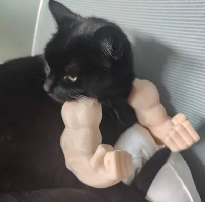 Hulk arms for cats