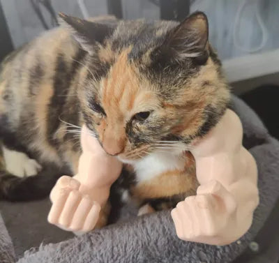 Hulk arms for cats