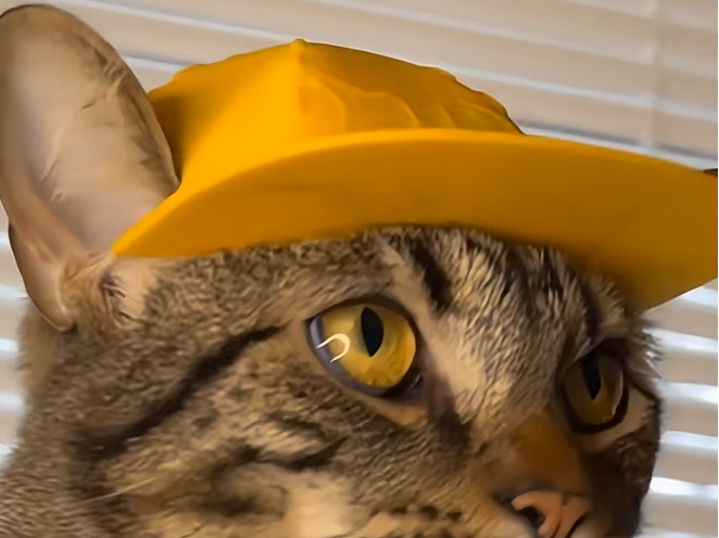 Baseball cap for Cats