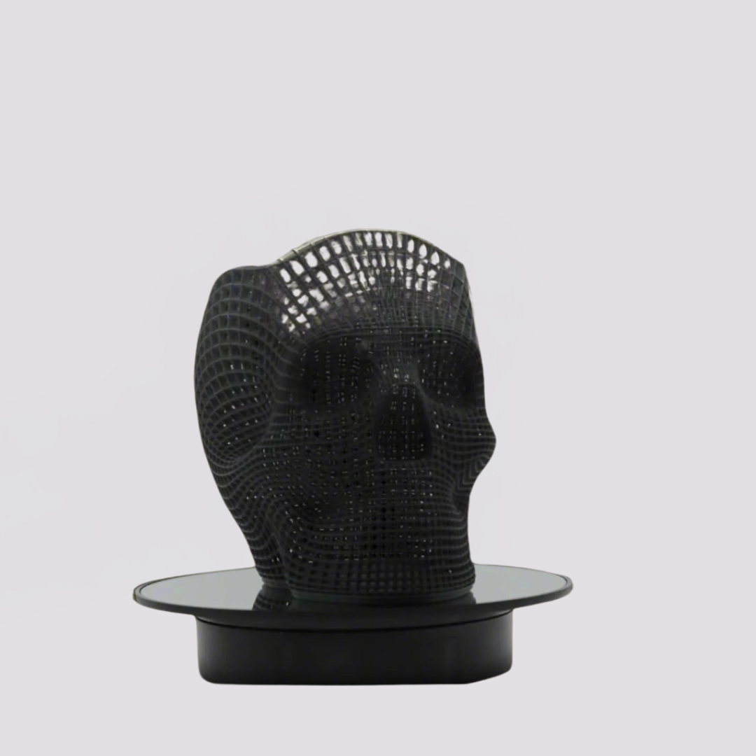 3d Printed Skull