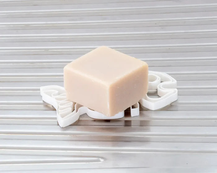 SOAP FISH