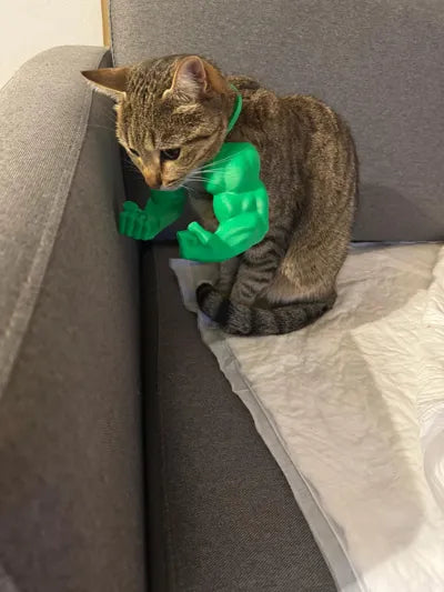 Hulk arms for cats
