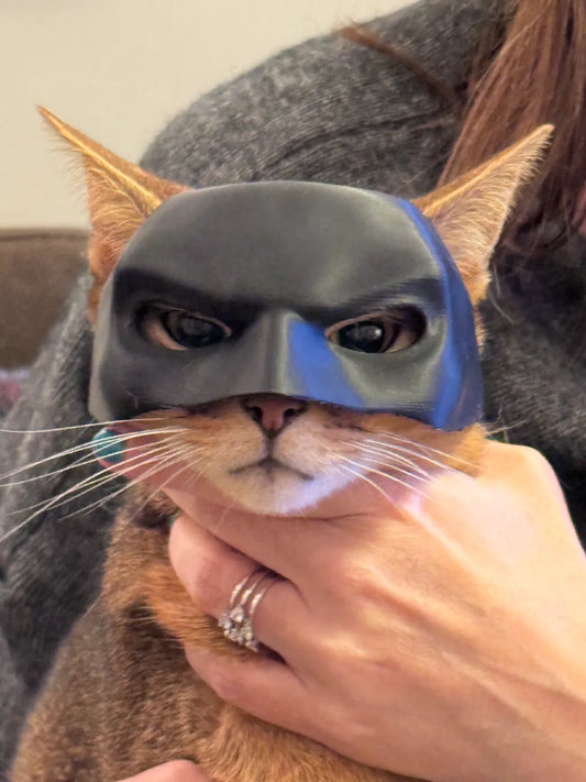 Cat/Dog Batman Mask