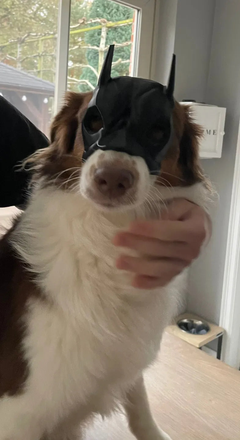 Batman Mask for Dogs