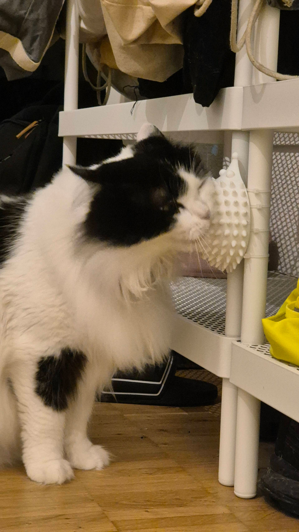 Cute Hedgehog Cat Self Scratcher Groomer