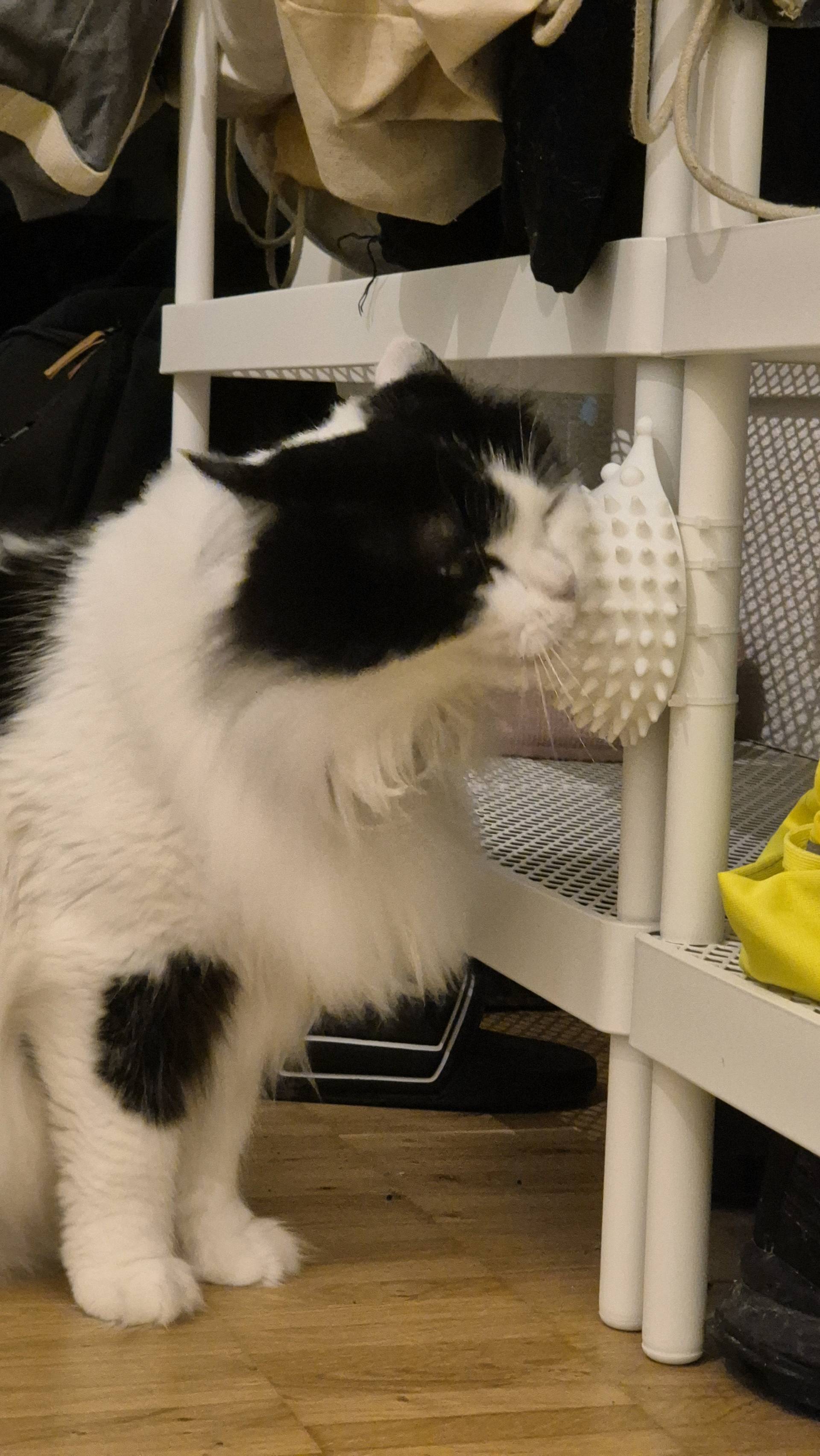 Cute Hedgehog Cat Self Scratcher Groomer