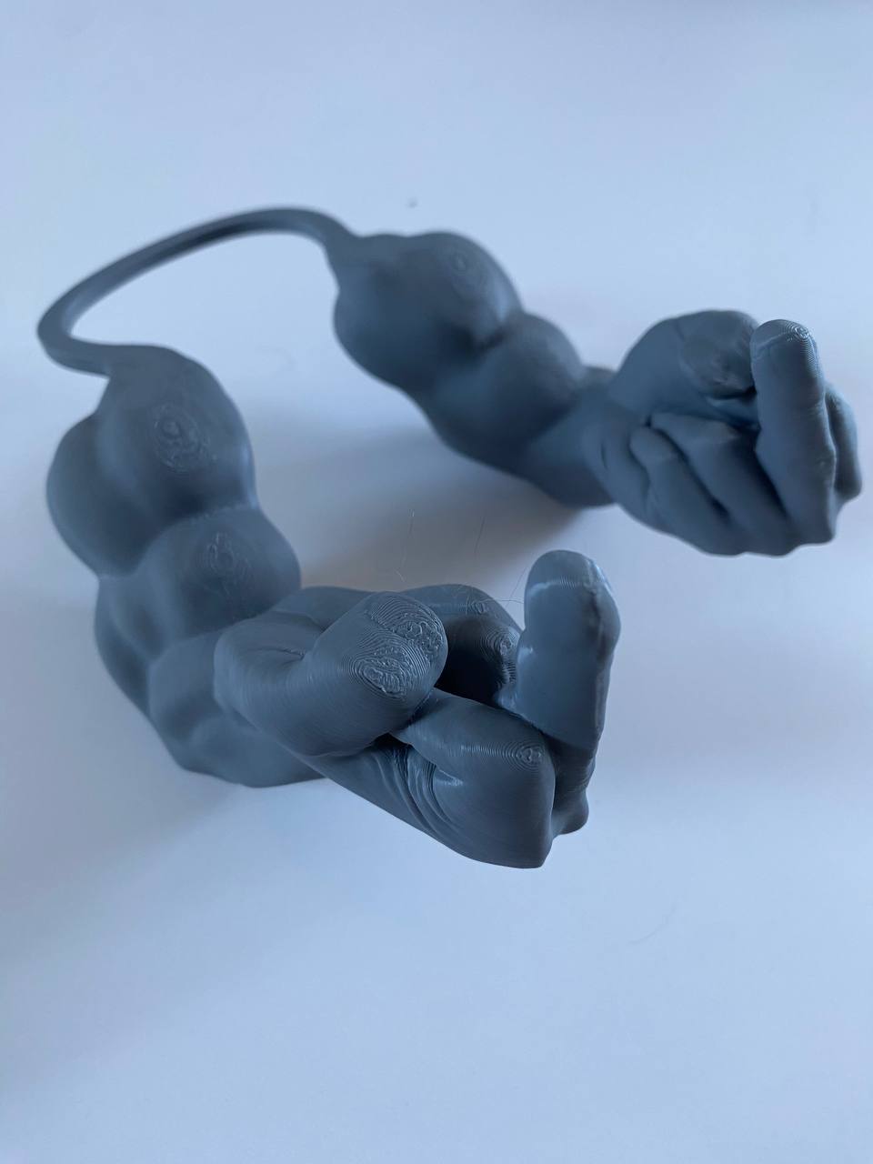 Middle Finger arms for cats
