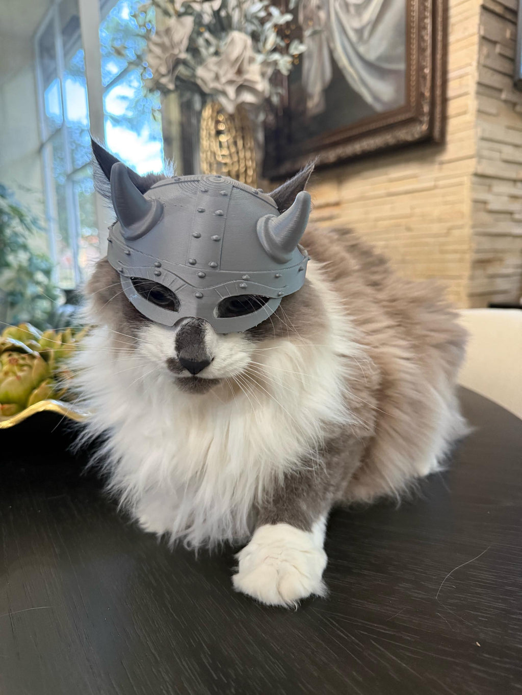 Viking Helmet for Cats