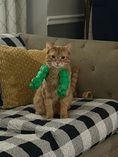 Middle Finger arms for cats