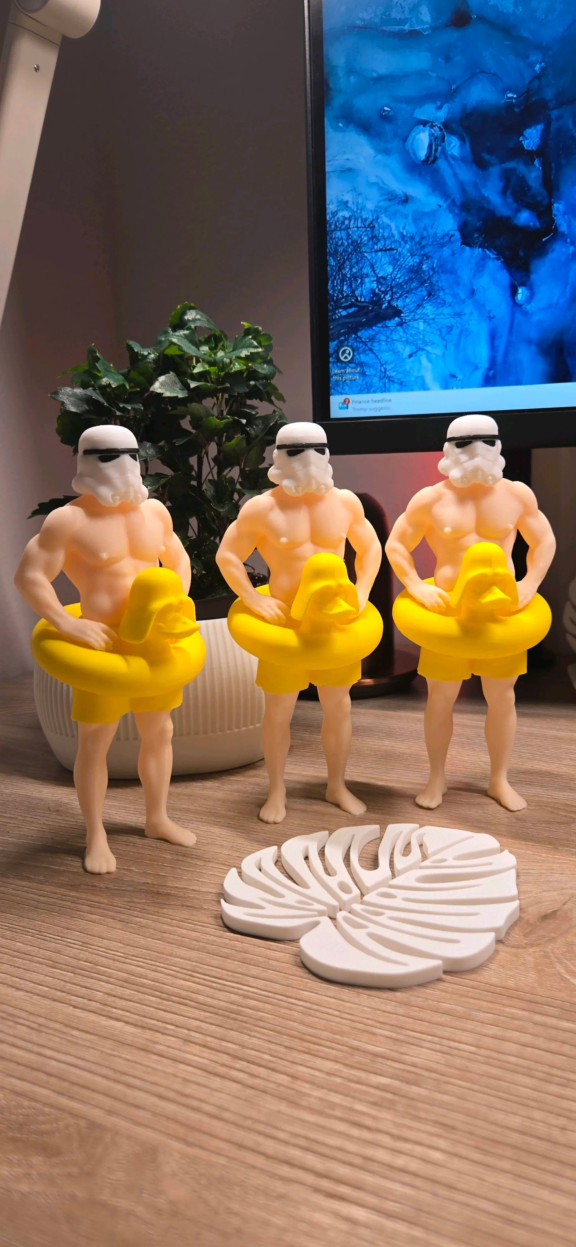 Stormtrooper beach tatooine edition