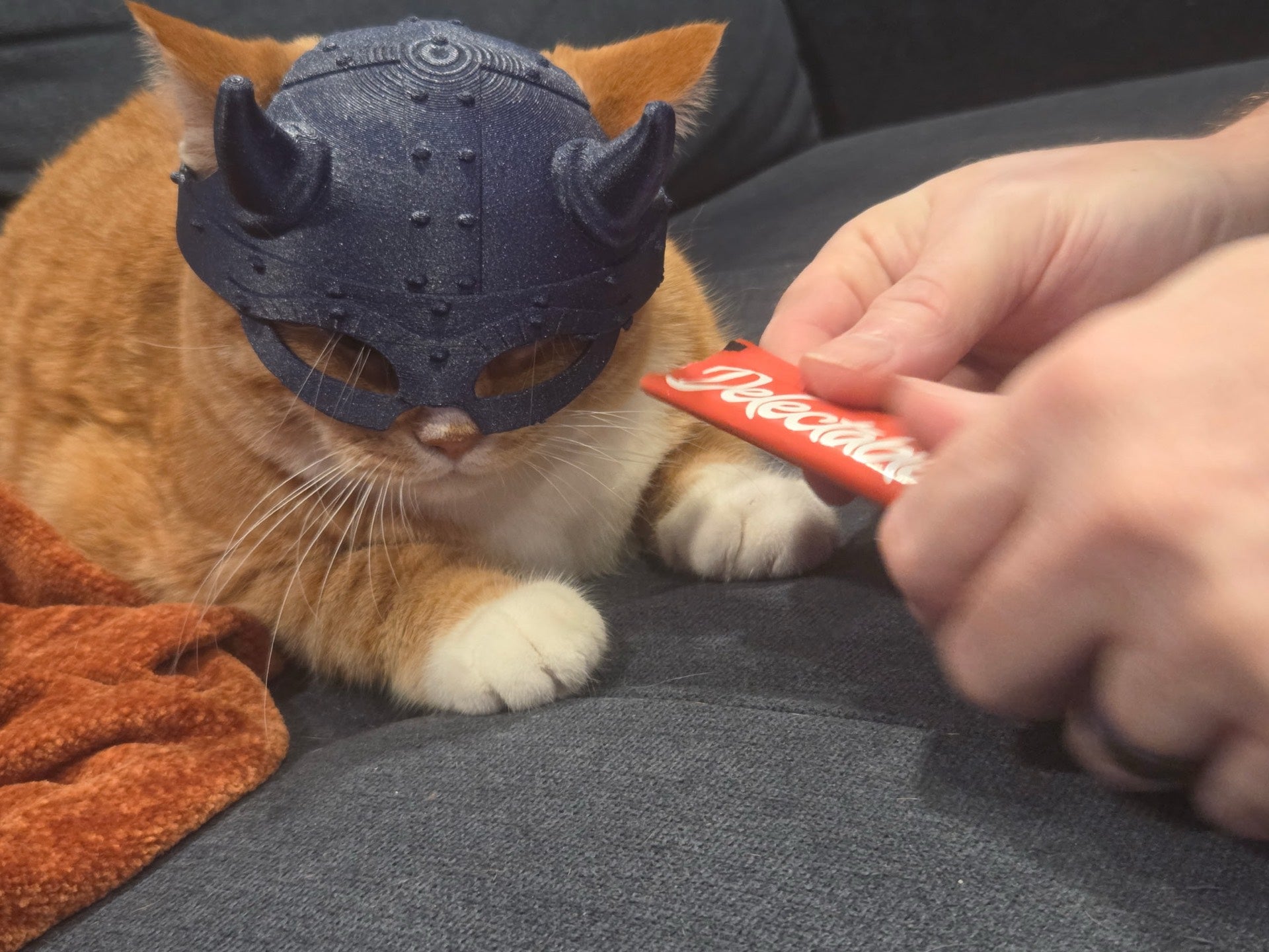 Viking Helmet for Cats
