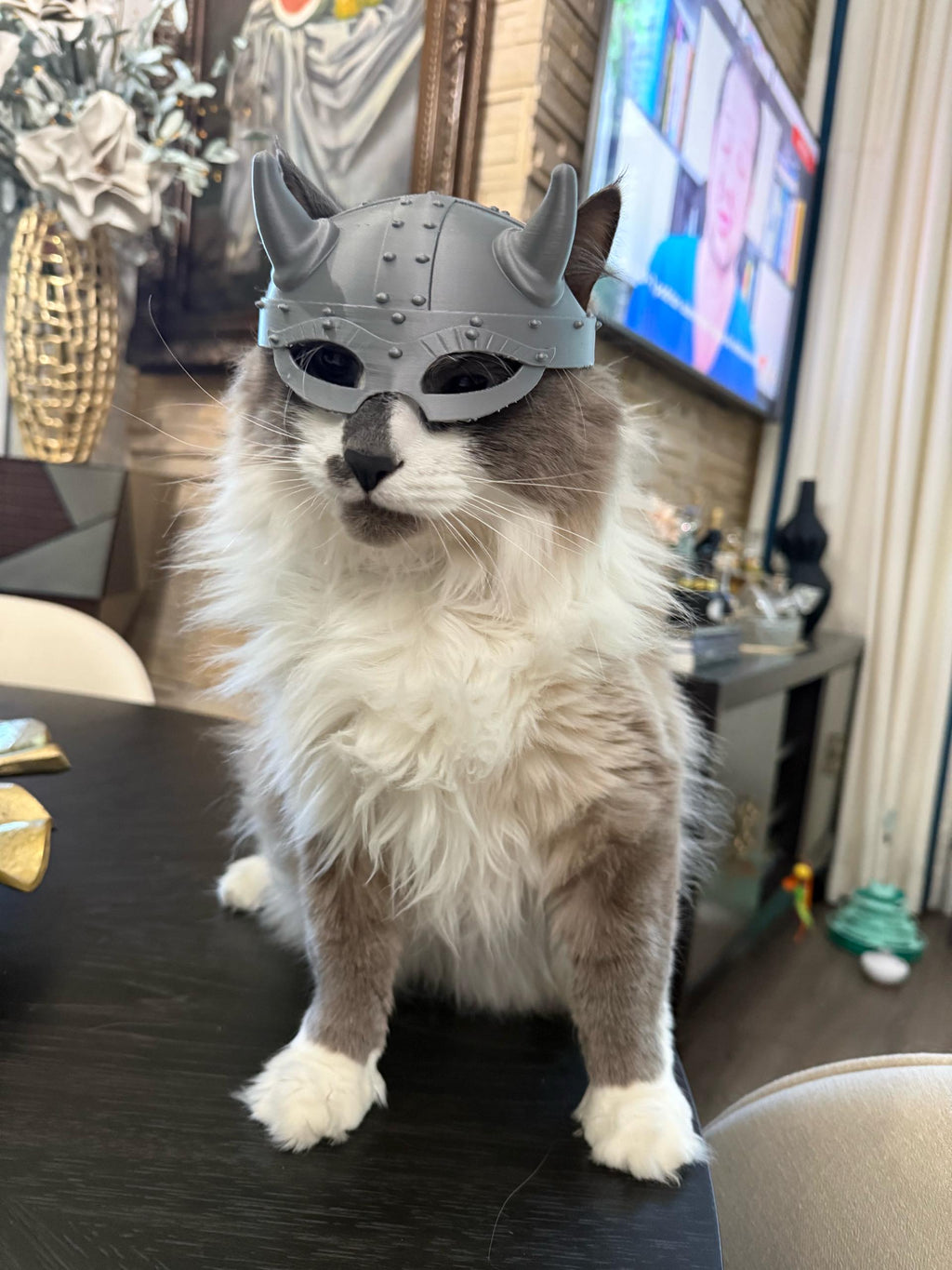 Viking Helmet for Cats