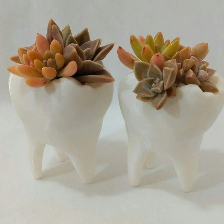 Thooth Vase
