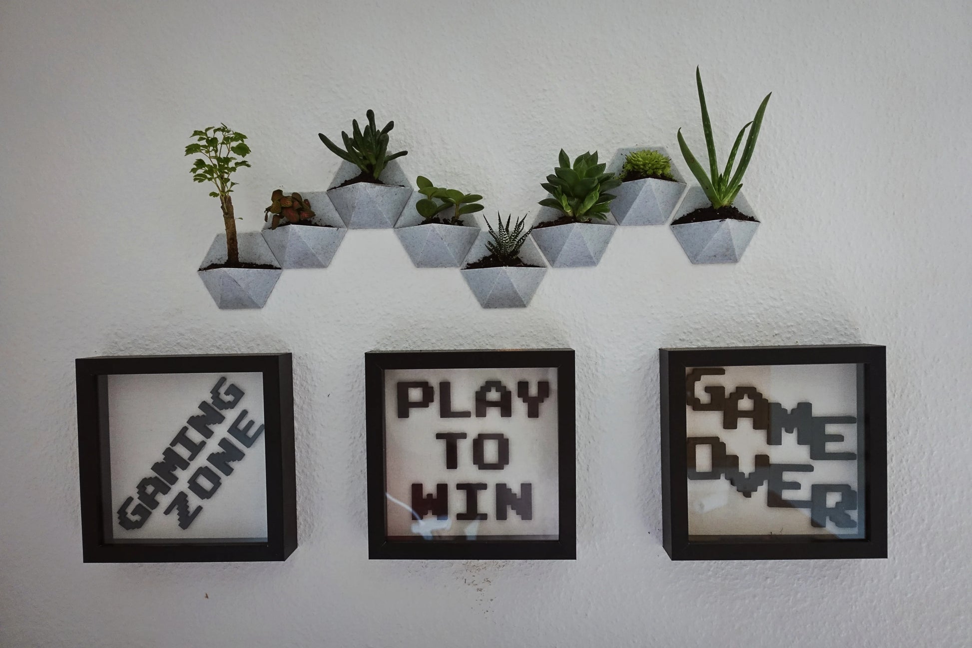 Succulent vase