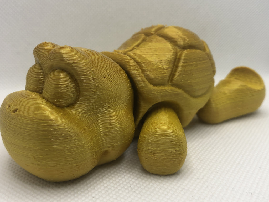 flexi turtle