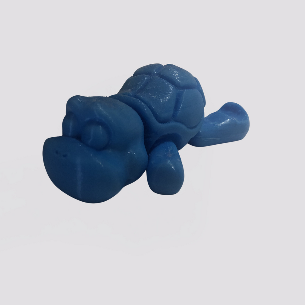 flexi turtle