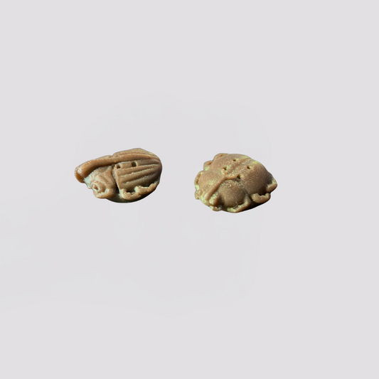 Beetle Buttons