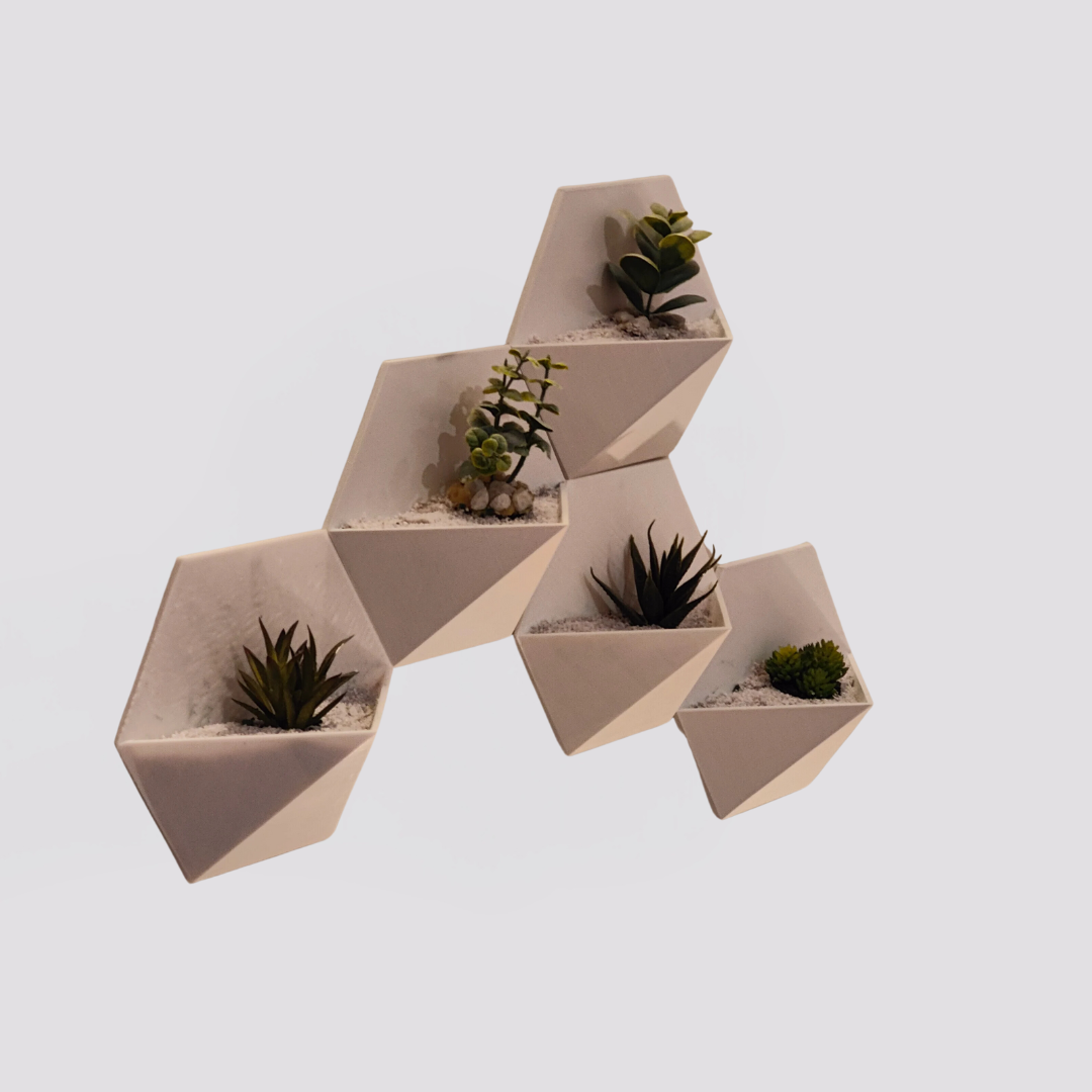 Succulent vase
