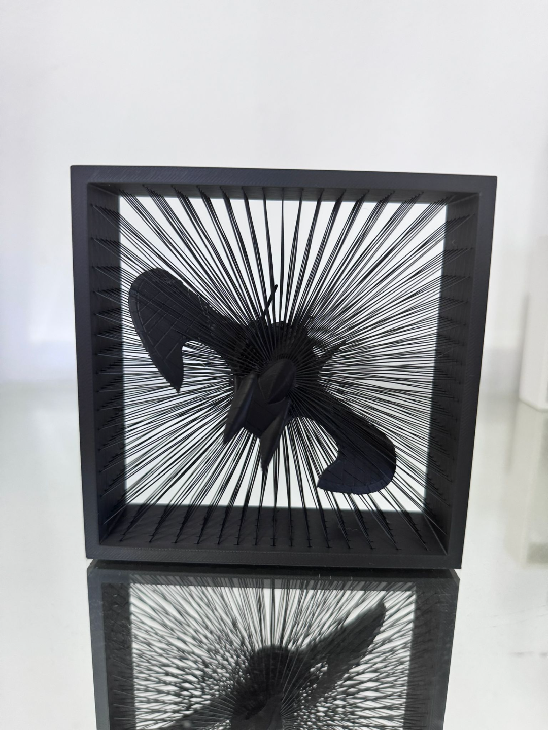 batwing string art box