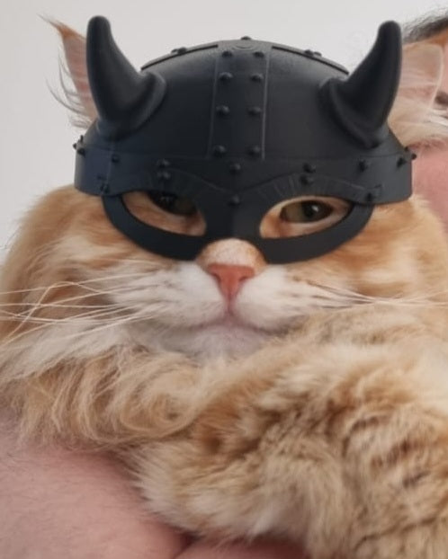 Viking Helmet for Cats