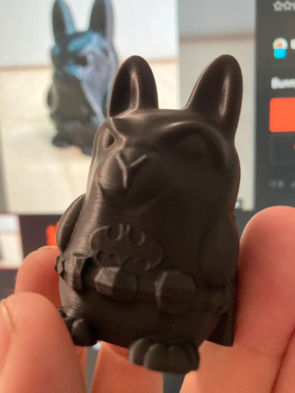 Bat Bunny