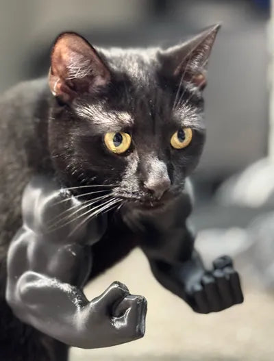 Hulk arms for cats