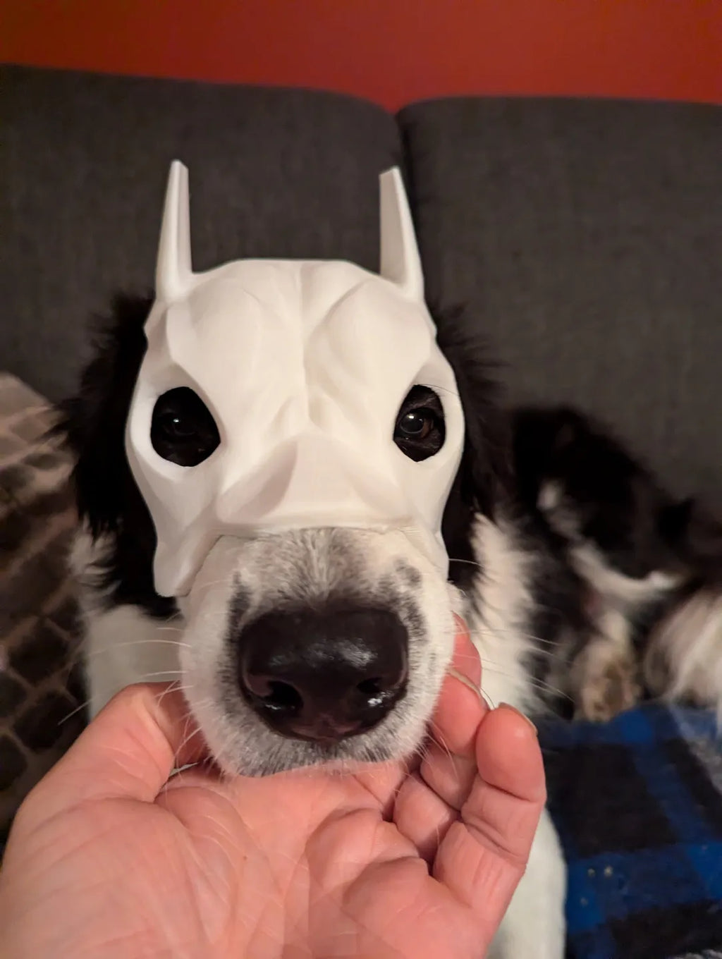 Batman Mask for Dogs