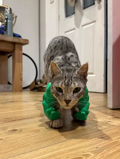 Hulk arms for cats
