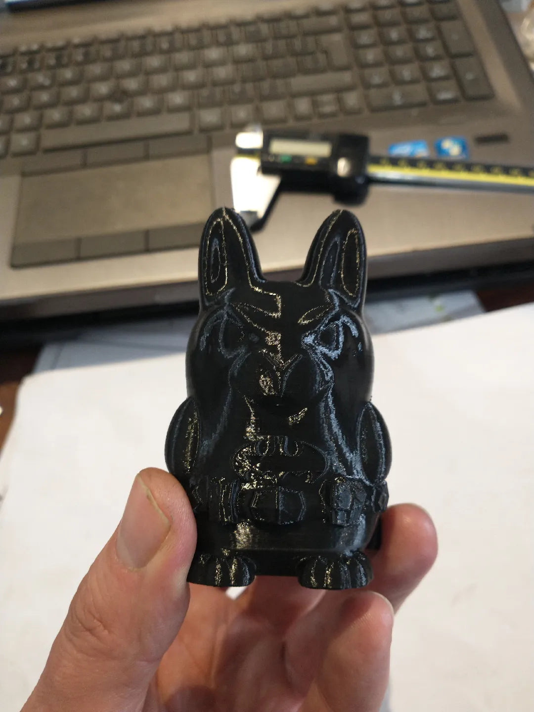 Bat Bunny
