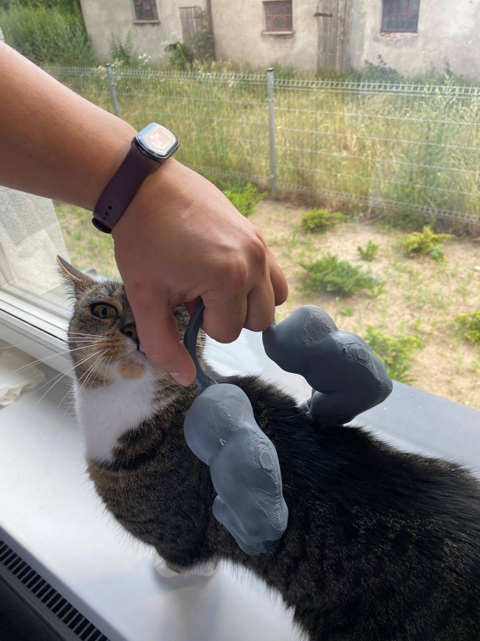 Middle Finger arms for cats