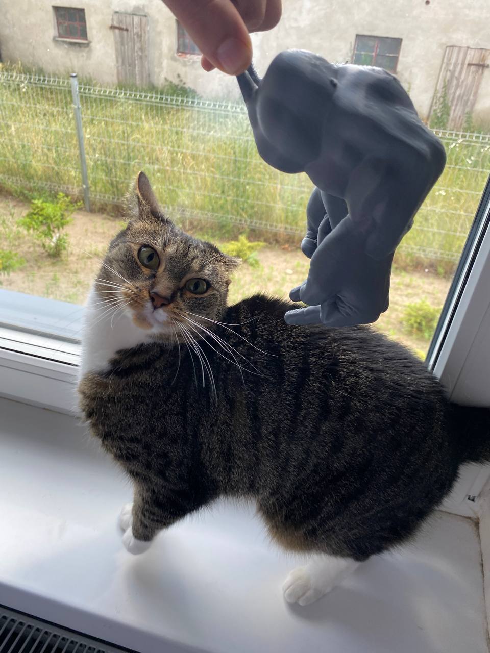 Middle Finger arms for cats