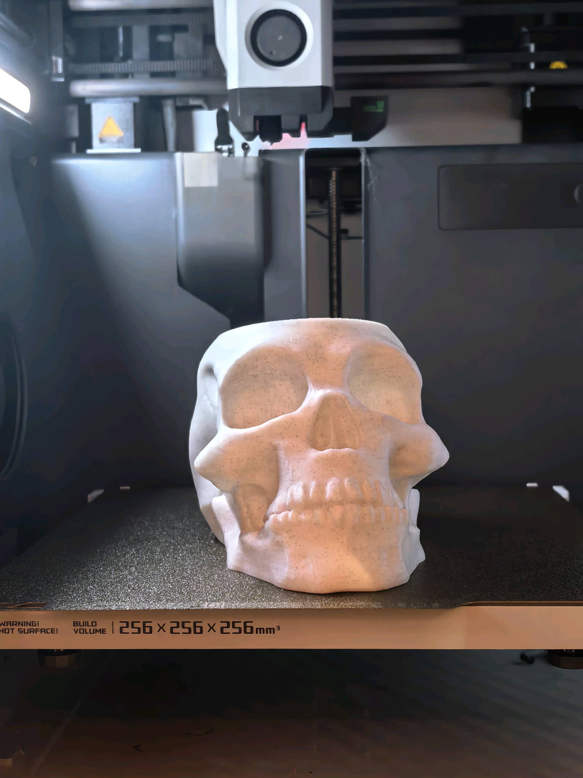 Skull Pen Holder
