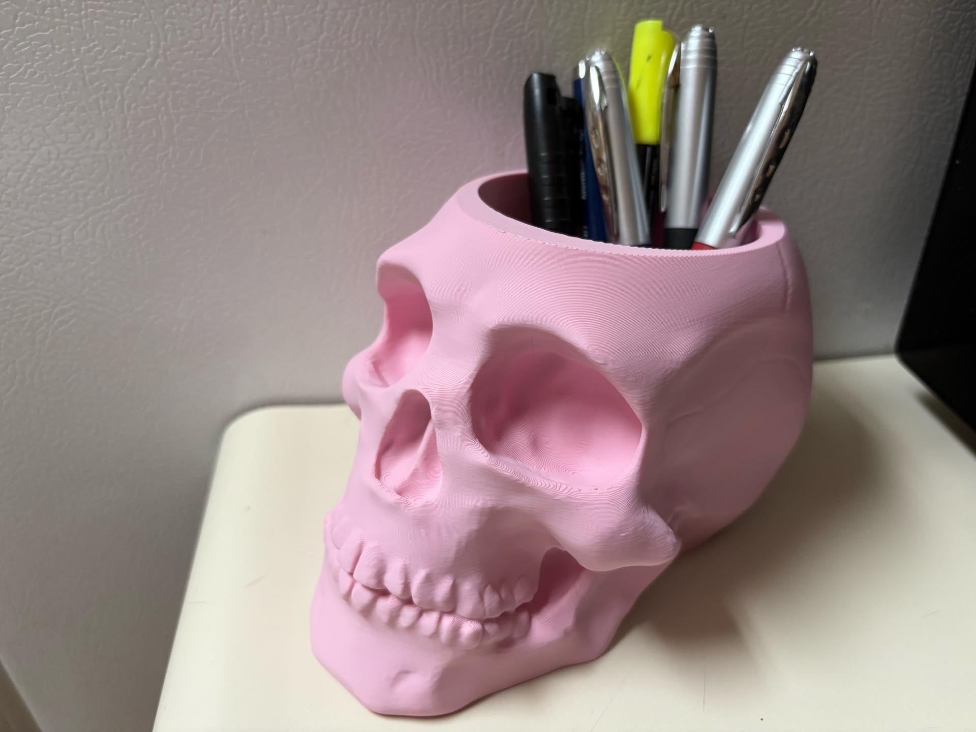 Skull Pen Holder
